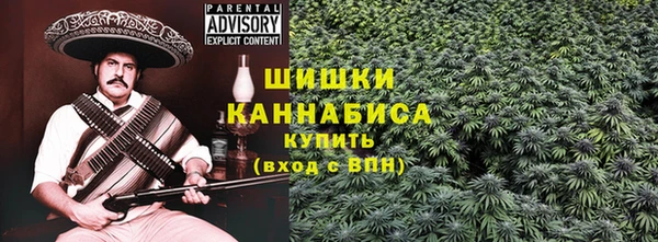 метадон Горнозаводск