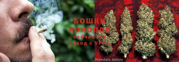метадон Горнозаводск