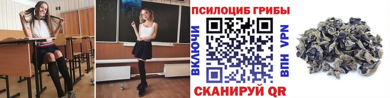 Псилоцибиновые грибы Psilocybine cubensis  Назрань 